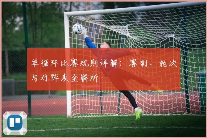 单循环比赛规则详解:赛制、轮次与对阵表全解析